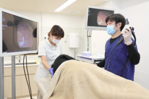胃カメラ検査をする医師の画像