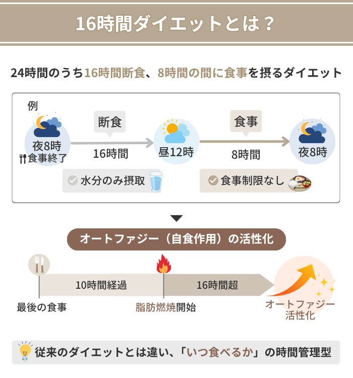 16時間ダイエットとは